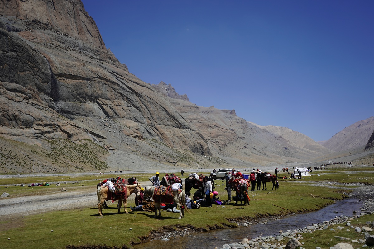 Poney We hired for Kailash Kora